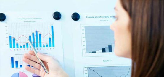 Document Development